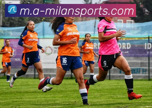 米兰体育APP 封面图